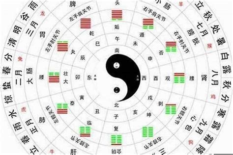 水土 五行|金木水火土五行的本质是什么？